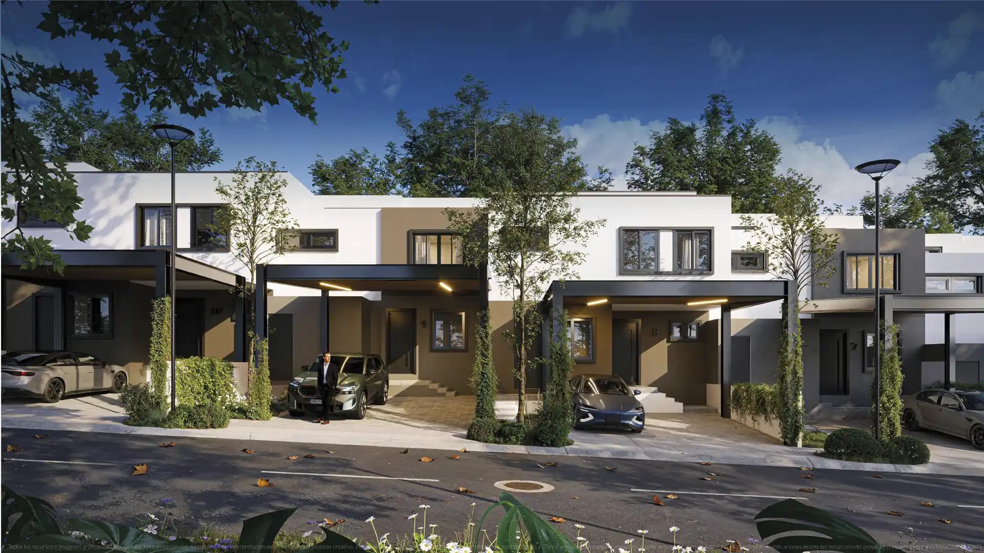 Foto 6 del proyecto