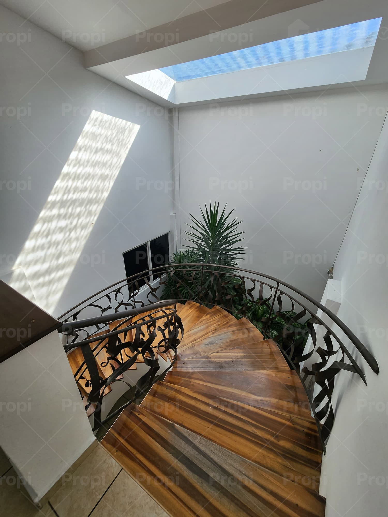 Foto 12 del proyecto
